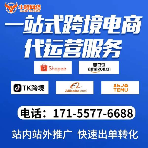 营口电商代运营